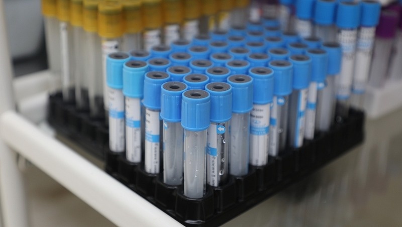      Фото: ИА «Победа26»