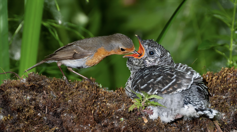John Navajo / Shutterstock / FOTODOM📷   