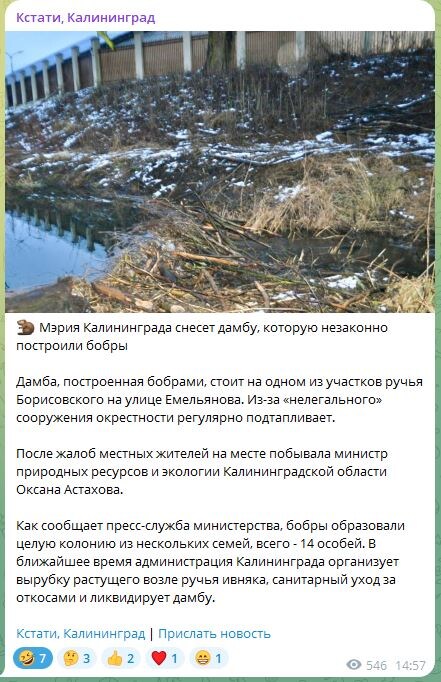 Из местных новостей.