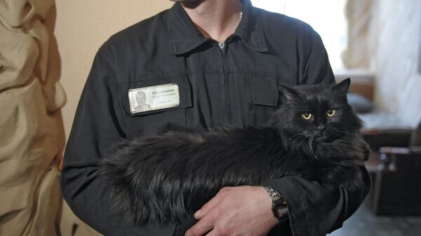    © Sputnik / Григорий Сысоев