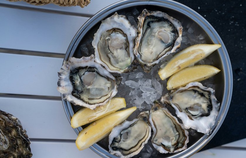 Кровь устриц способна убивать супербактерии, резистентные к антибиотикам