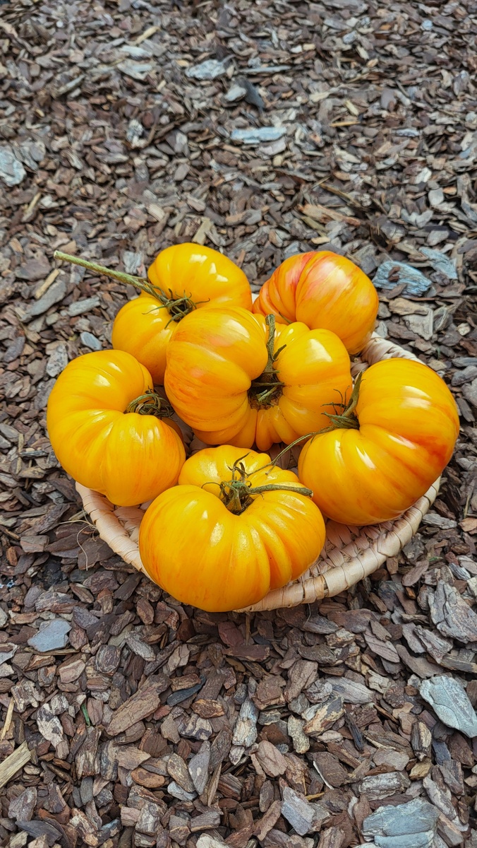 Литиевый Закат