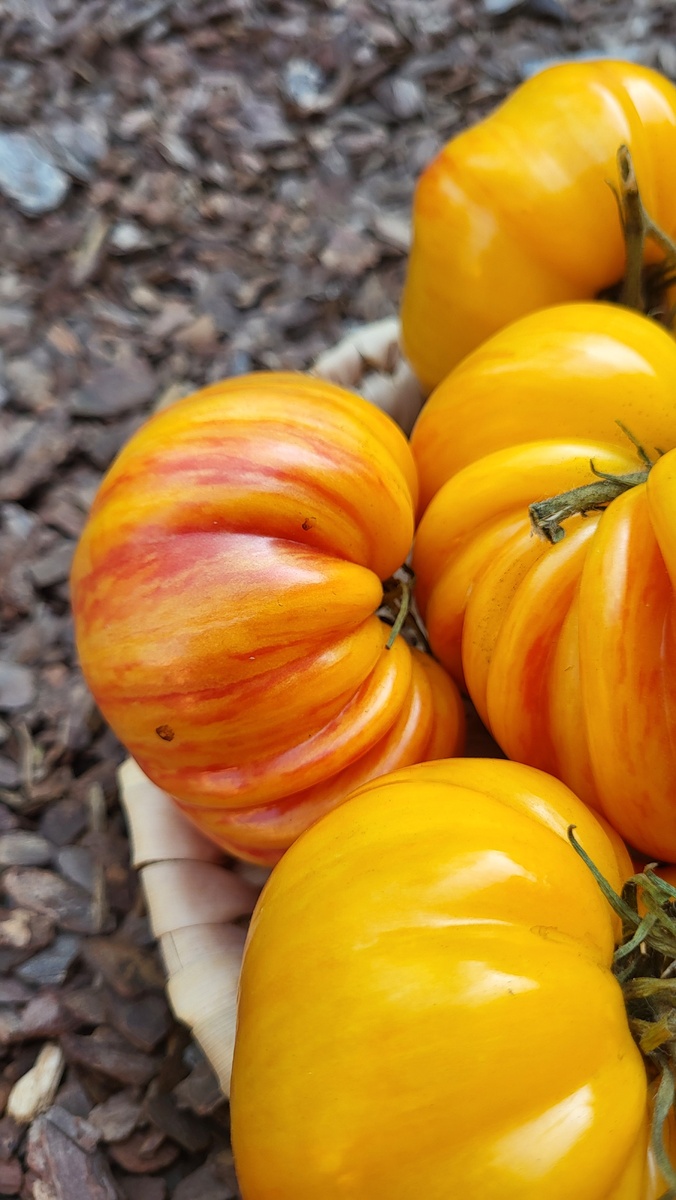 Литиевый Закат