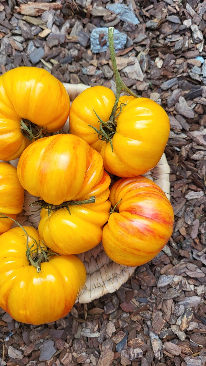 Галерея, листайте