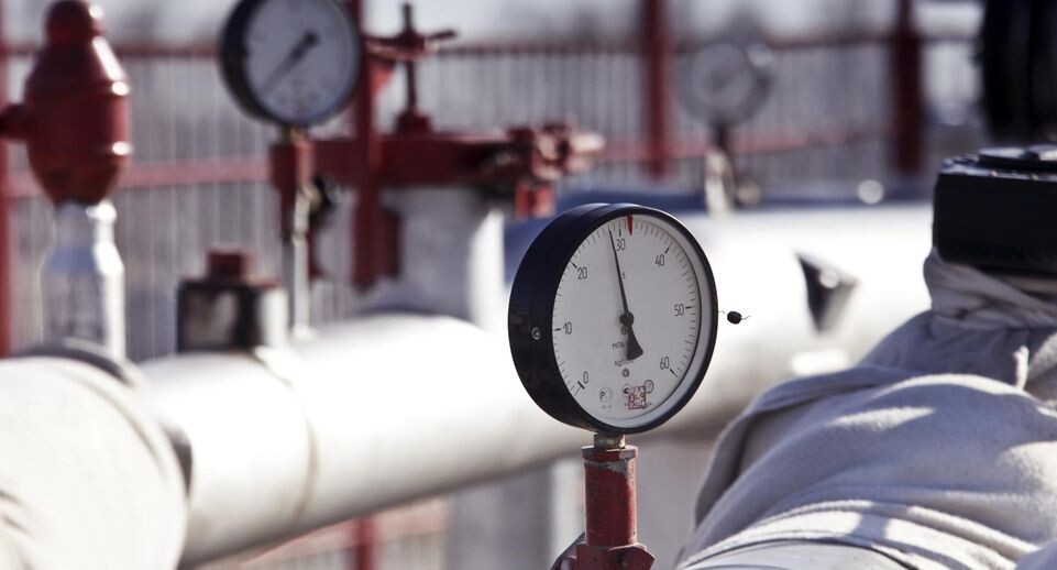    Nikolay Gyngazov/Global Look Press