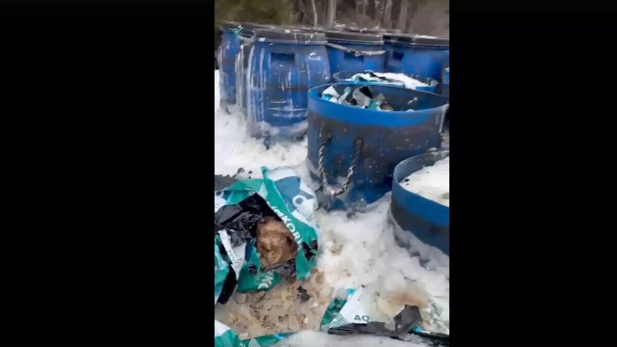     Источник: скриншот видеозаписи