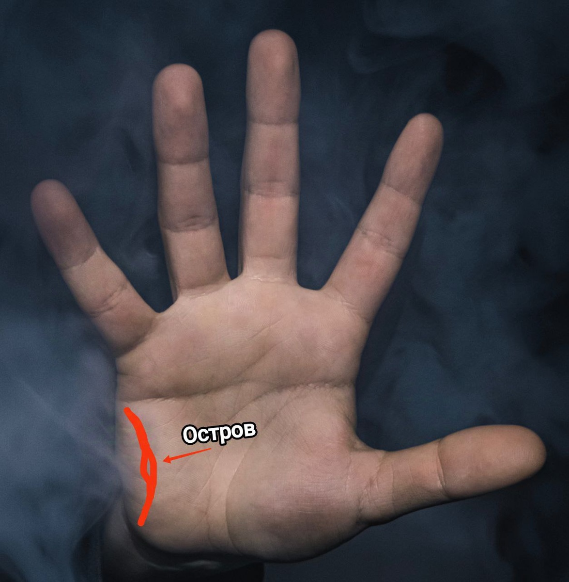 Фото из интернета 