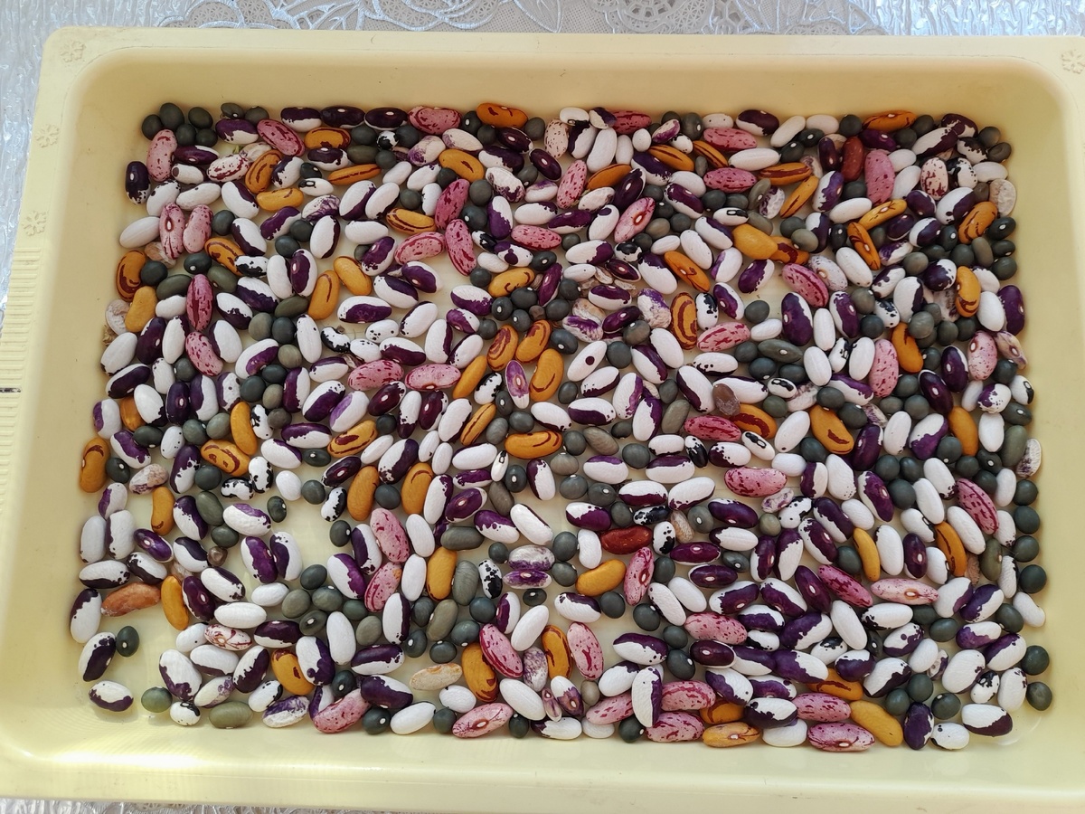 Ну как не порадоваться такой красоте! Листайте вправо...