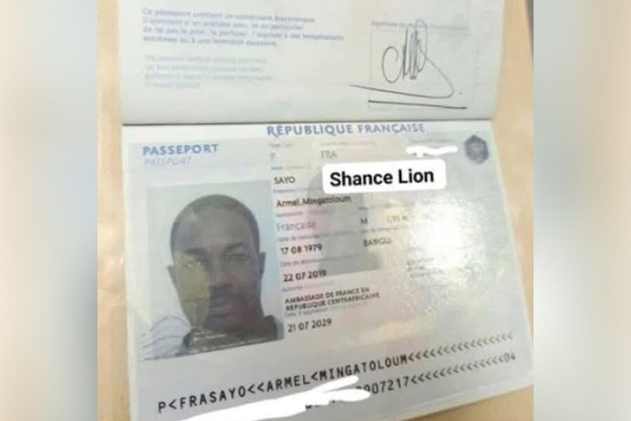    Паспорт Армеля Сайо / Источник: © Содружество офицеров за международную безопасность