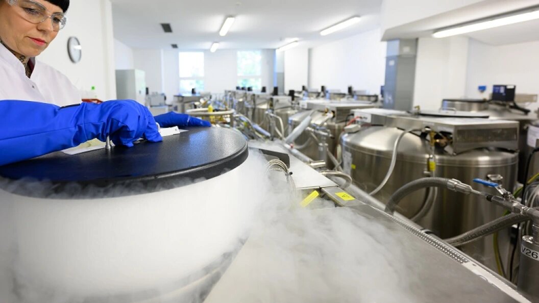    Фото: Robert Michael/Globallookpress