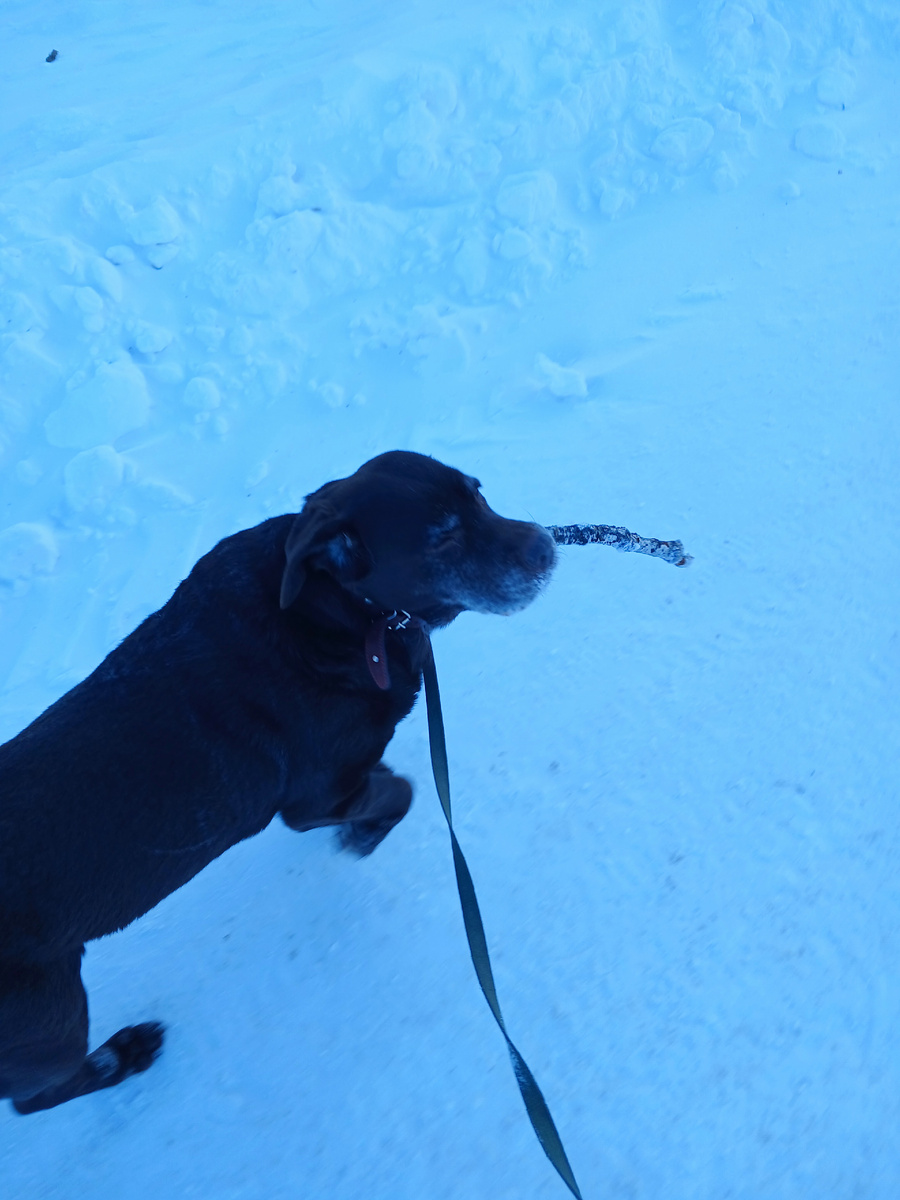 Ветер сносит  с ног! Фото автора