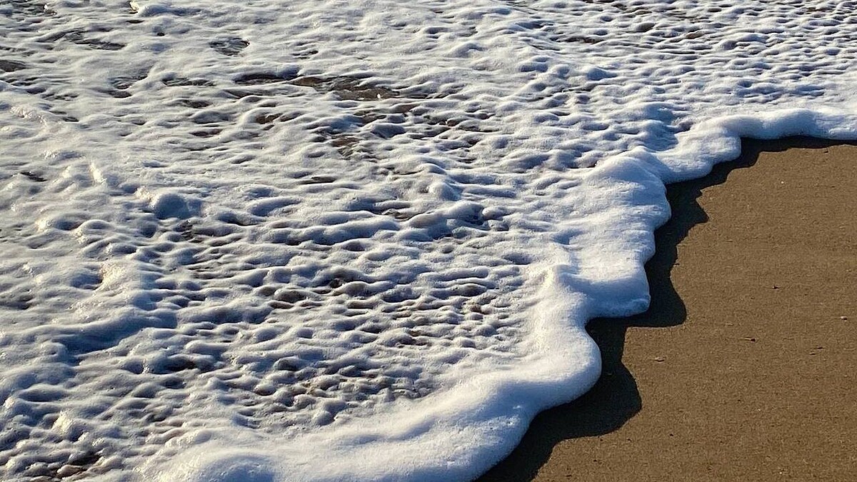    Фото: телеканал «Краснодар»