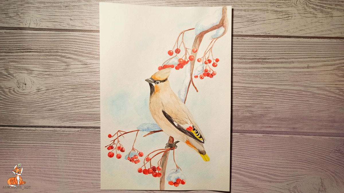 Свиристель