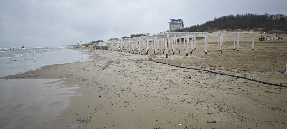 Источник фото: Анапа. Волонтеры моря