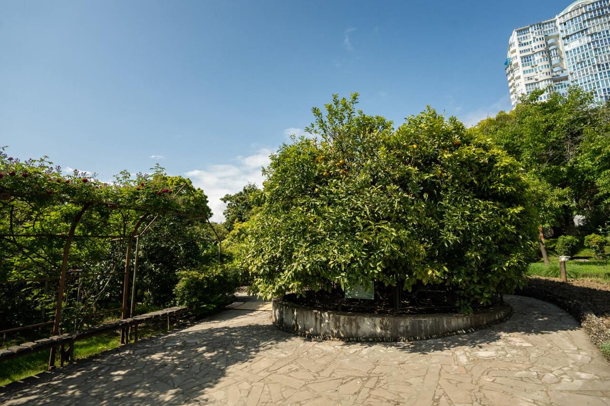    Фото: пресс-служба ФИЦ СНЦ РАН