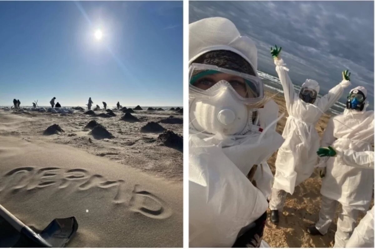    Приехав в Анапу, волонтёры окунаются в совершенно другую жизнь.