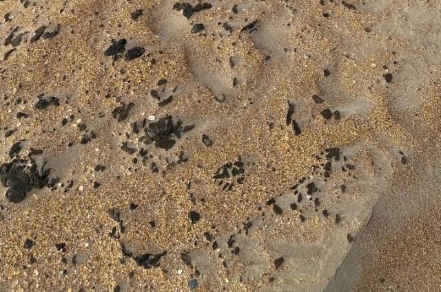    Так выглядит загрязнённый мазутом песок. Фото: Из личного архива/ Тимур Мукминов