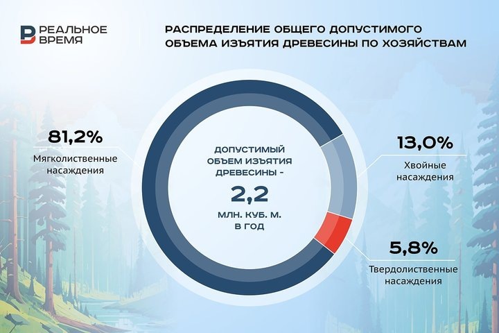 Реальное время / realnoevremya.ru