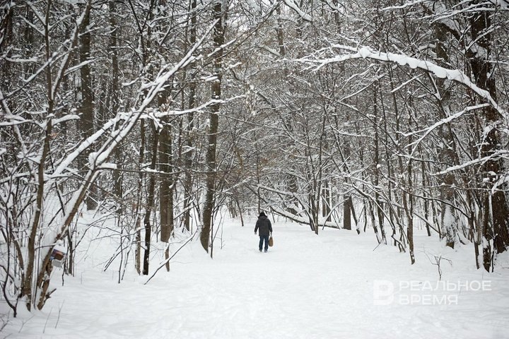 Фото: Динар Фатыхов