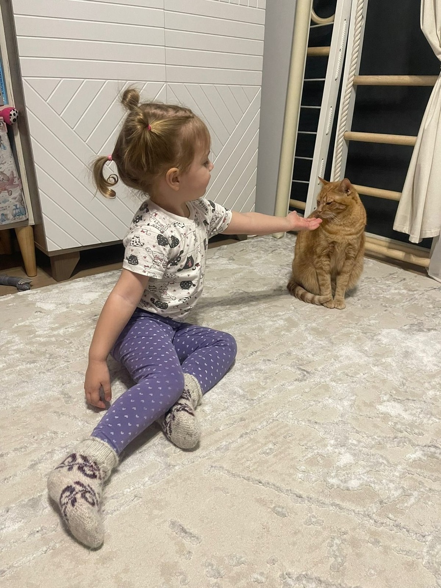 На фото - кошечка Рима