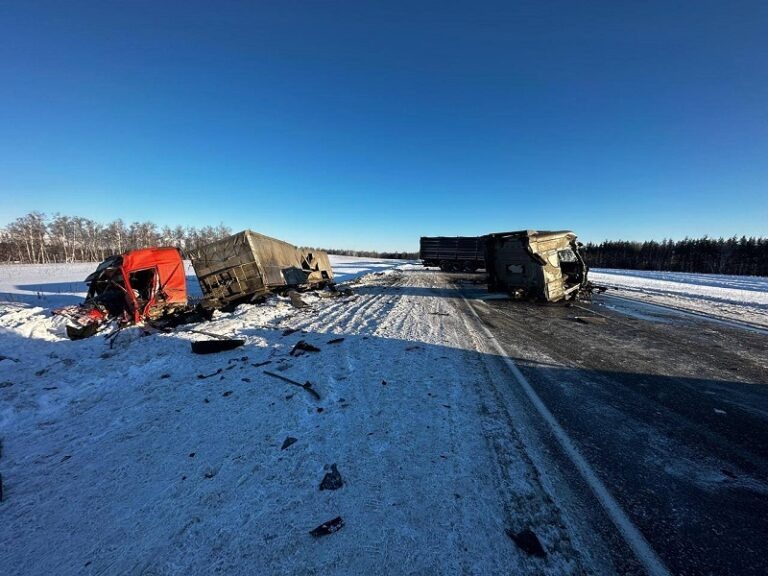    В Северном районе в лобовом ДТП грузовиков пострадали водители Марина Шарт