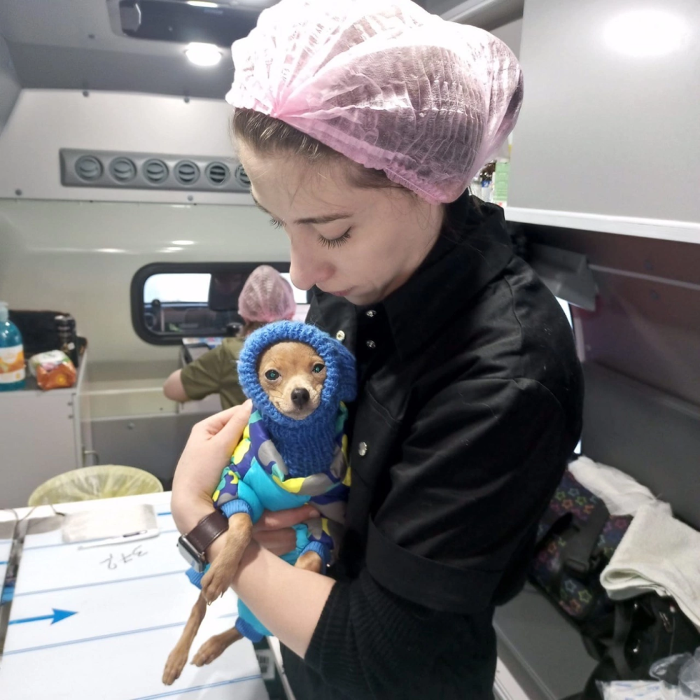    «Мобильный ветеринар» отправился в отдаленные поселки Югры