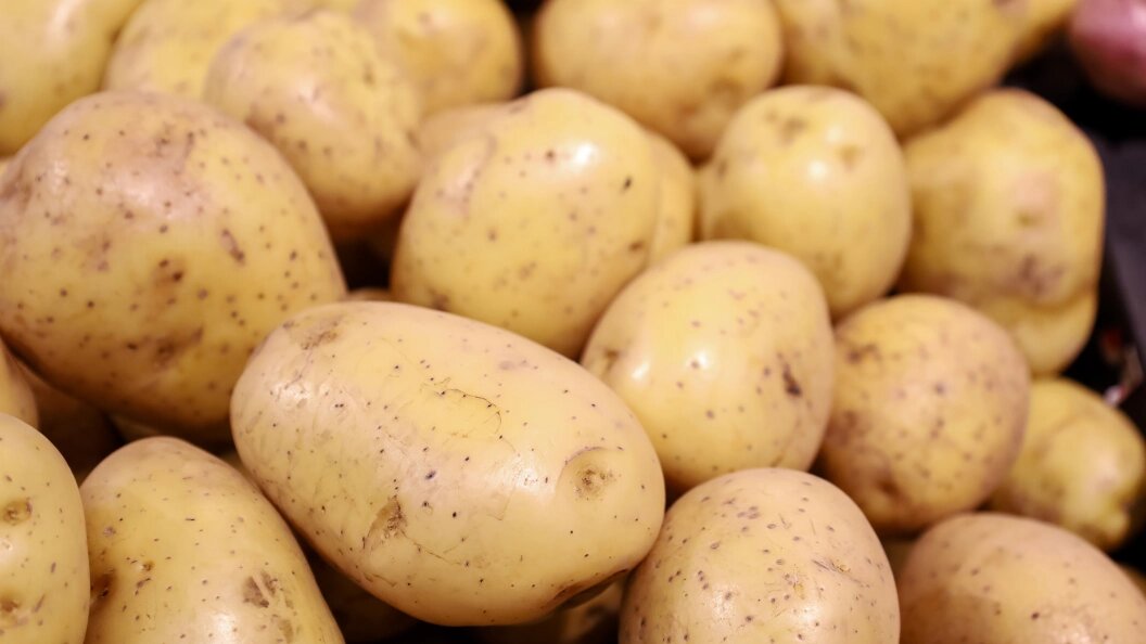    Фото: Elena Mayorova/Global Look Press