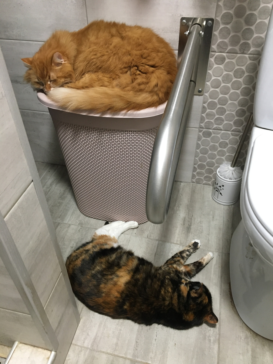 На тёплом полу спать приятно. Фото автора