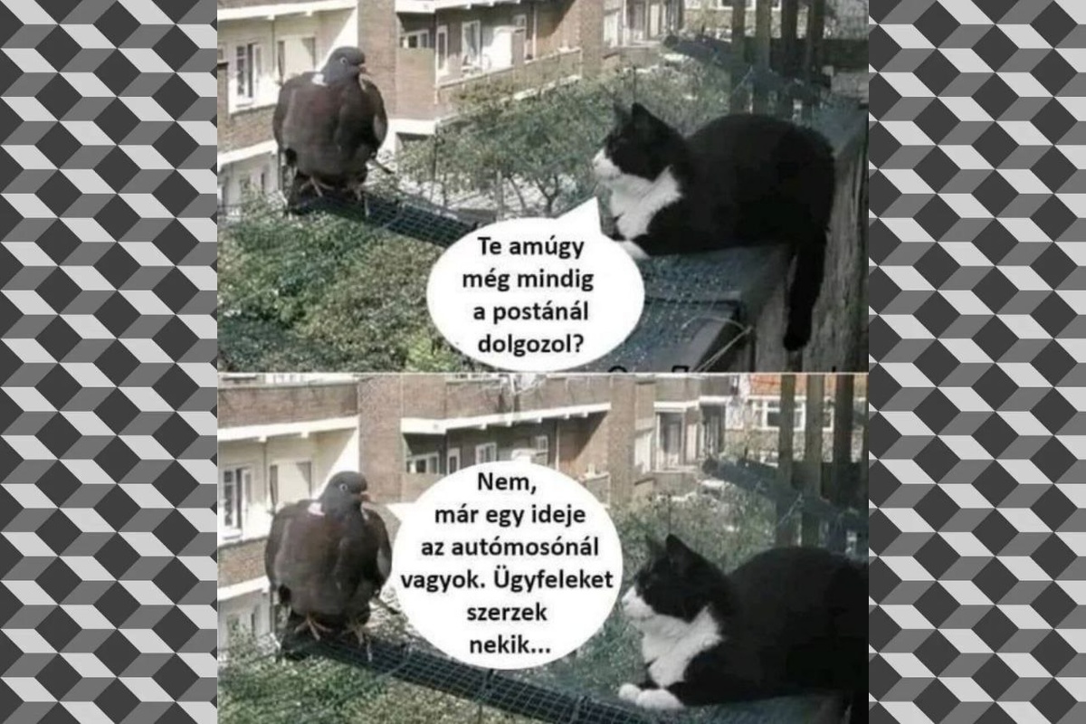 - Ты всё ещё работаешь на почте? - Нет, я уже давно на автомойке. Клиентов им привожу... Источник: Pinterest