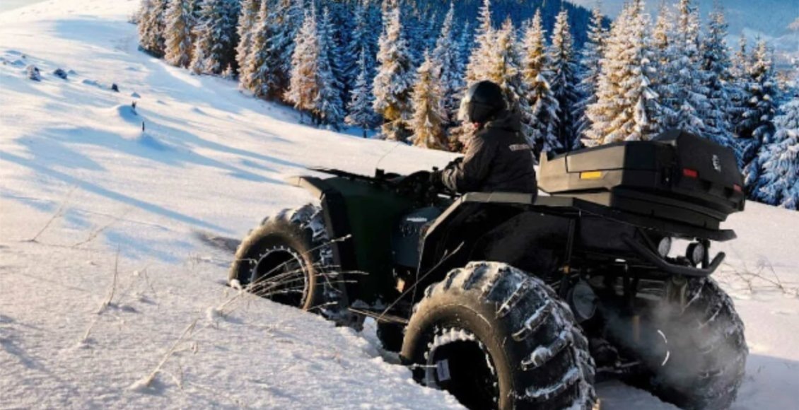    Фото из открытых источников