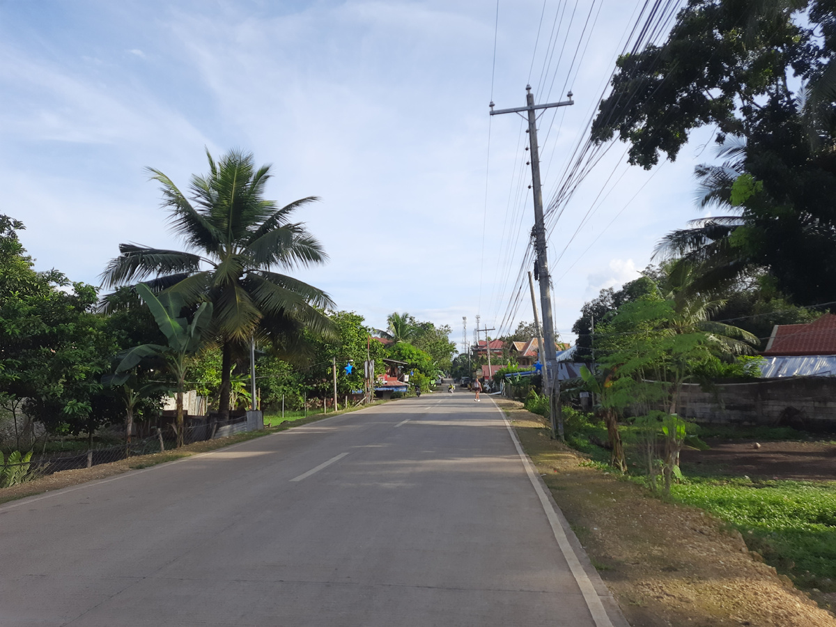 Дорога к морю