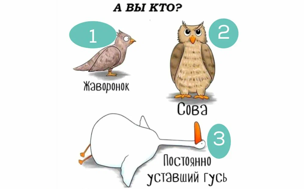 Фото из открытых источников