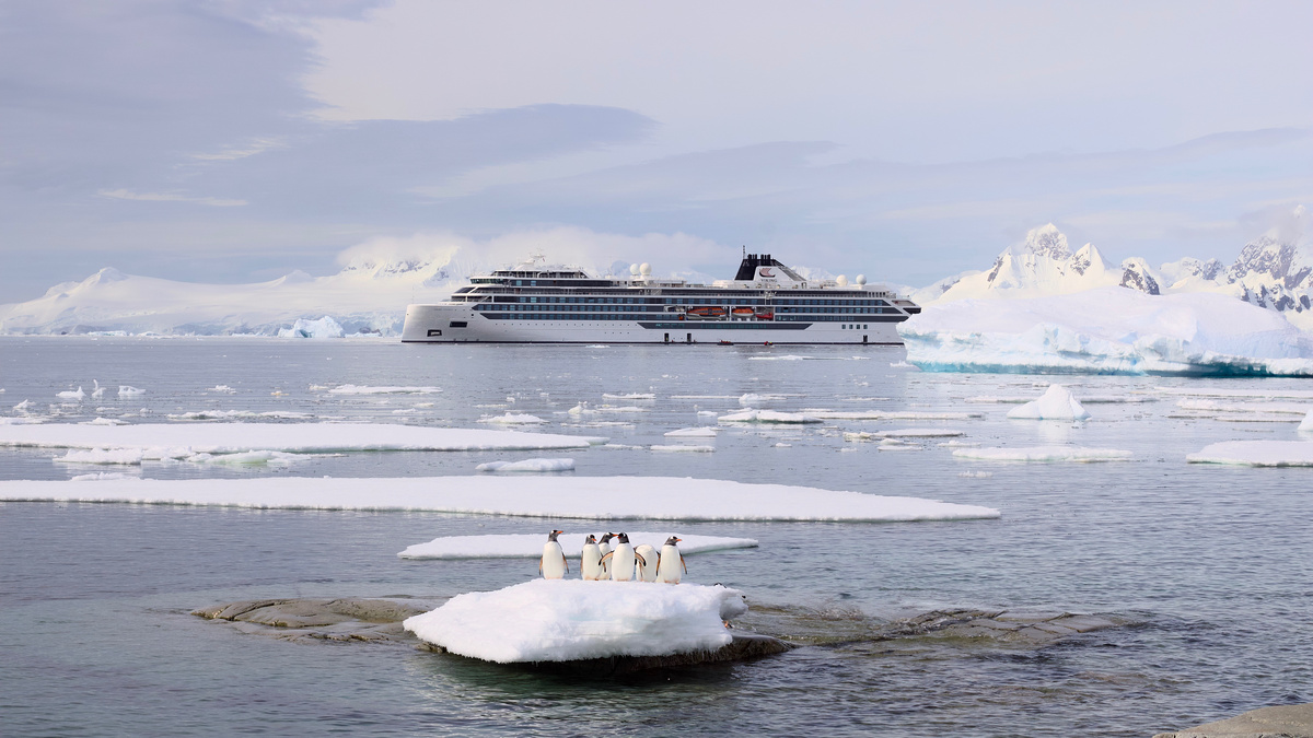 Viking Polaris у берегов Антарктиды. Декабрь 2024