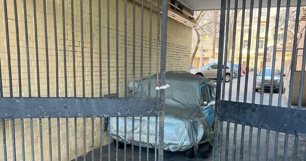    Запорожец Гоши Куценко