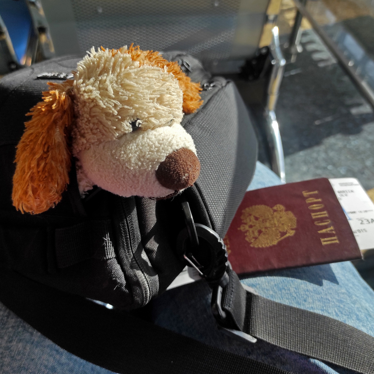 Тузя — верный спутник нашей семьи во всех путешествиях. 