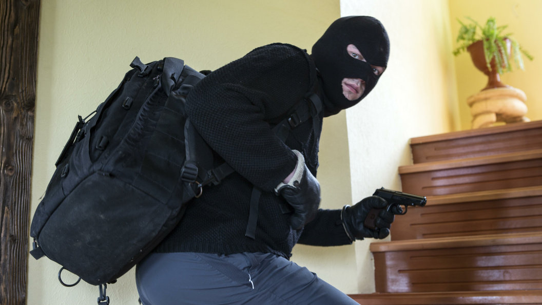    фото: Nikolay Gyngazov//Globallookpress