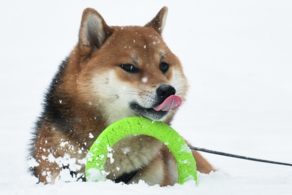 Фото: РИА Новости/Владимир Астапкович