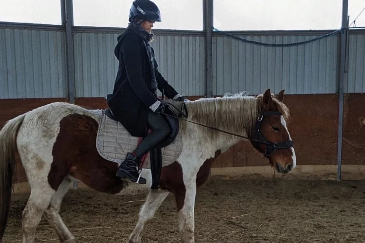    В любой опасной или непонятной ситуации лошади пугаются и убегают.