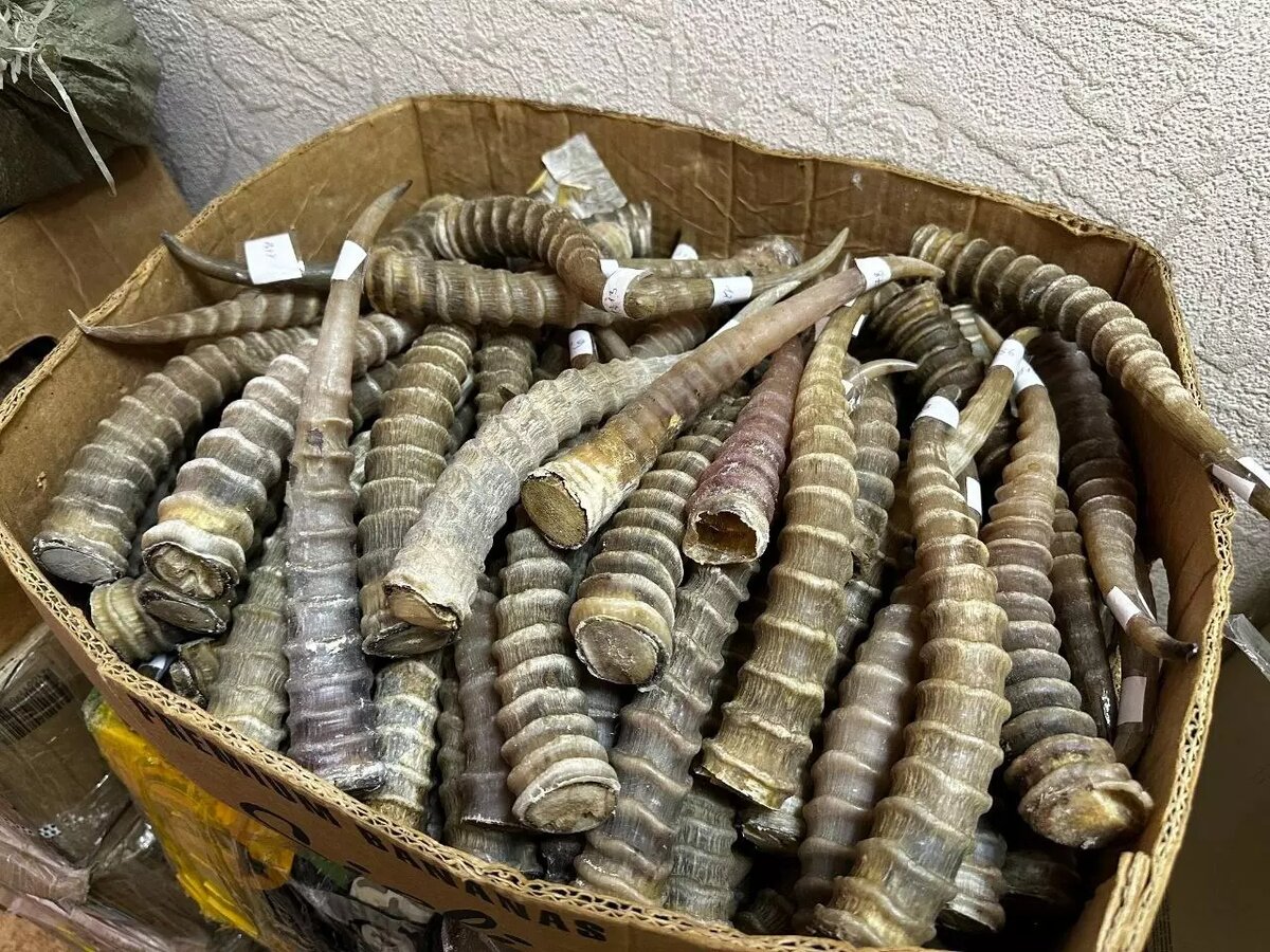     Источник: Волгоградский Следком