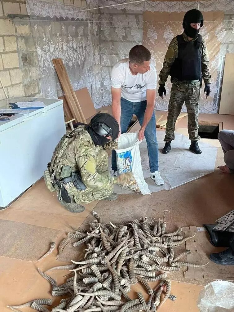     Источник: Волгоградский Следком