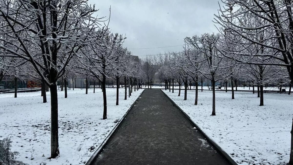     Источник: rostovgazeta.ru