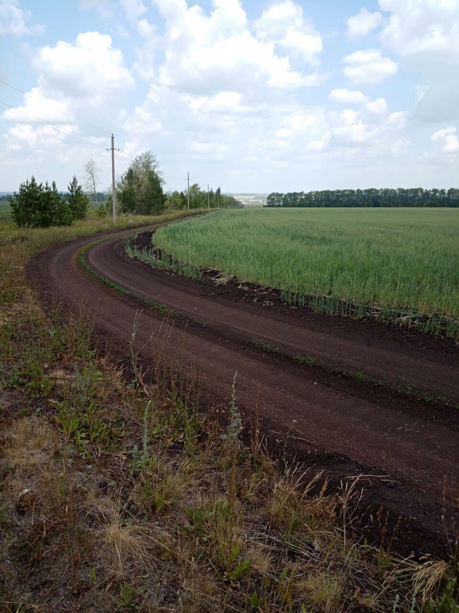 Фото автора.