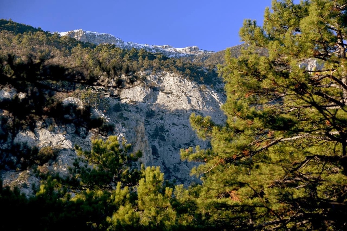 Пешеходный маршрут через ущелье Уч-Кош // Фото со страницы ФГБУ «Заповедный Крым» в ВК 
