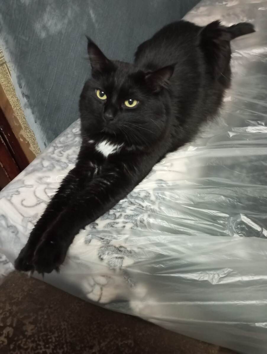 А это - пилот. Фото автора рассказа.