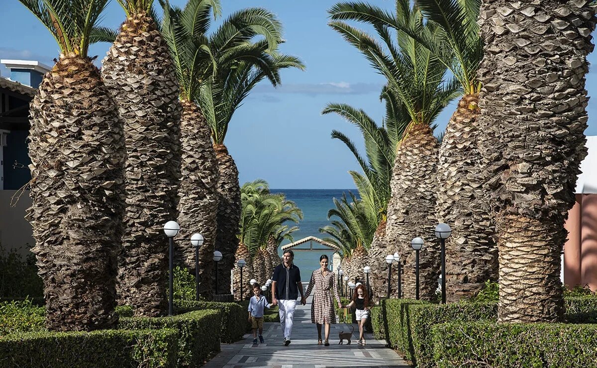    Россияне смогут летом полететь в Грецию пакетными турами