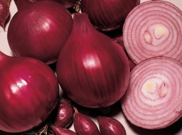 Лучшие сорта репчатого лука для выращивания из севка в средней полосе России