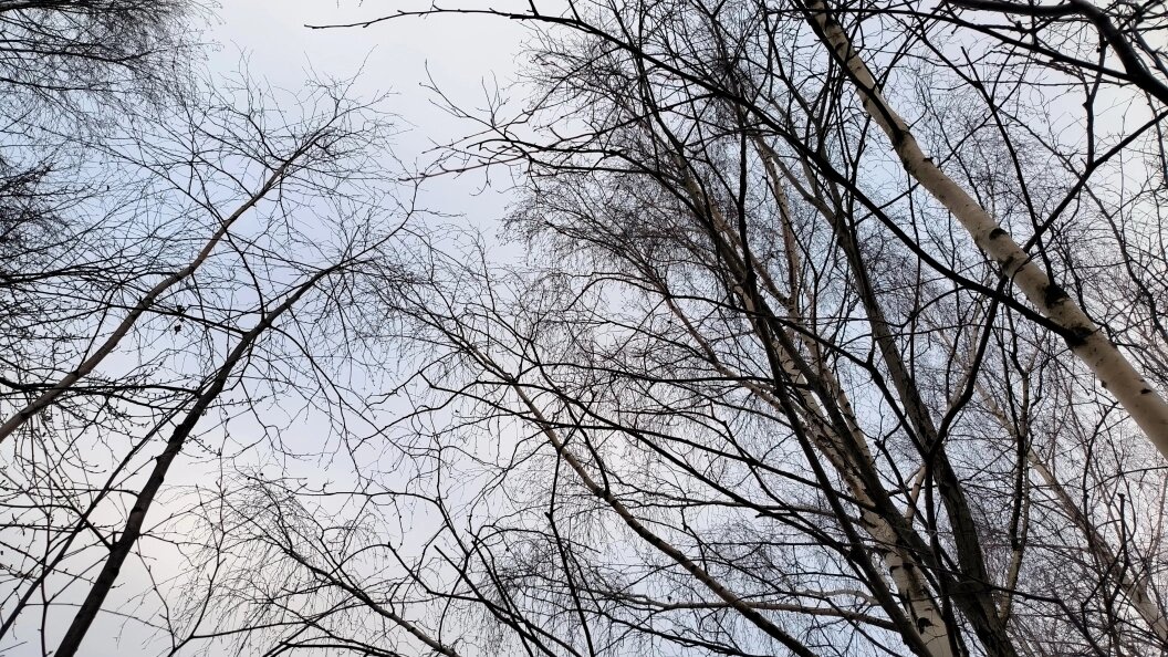    Maksim Konstantinov/Globallookpress