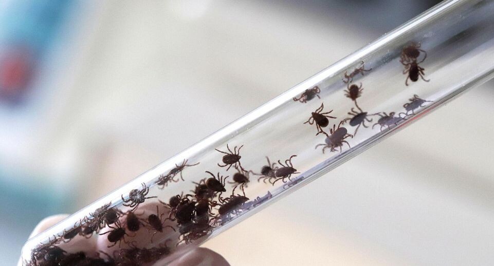    РИА «Новости»