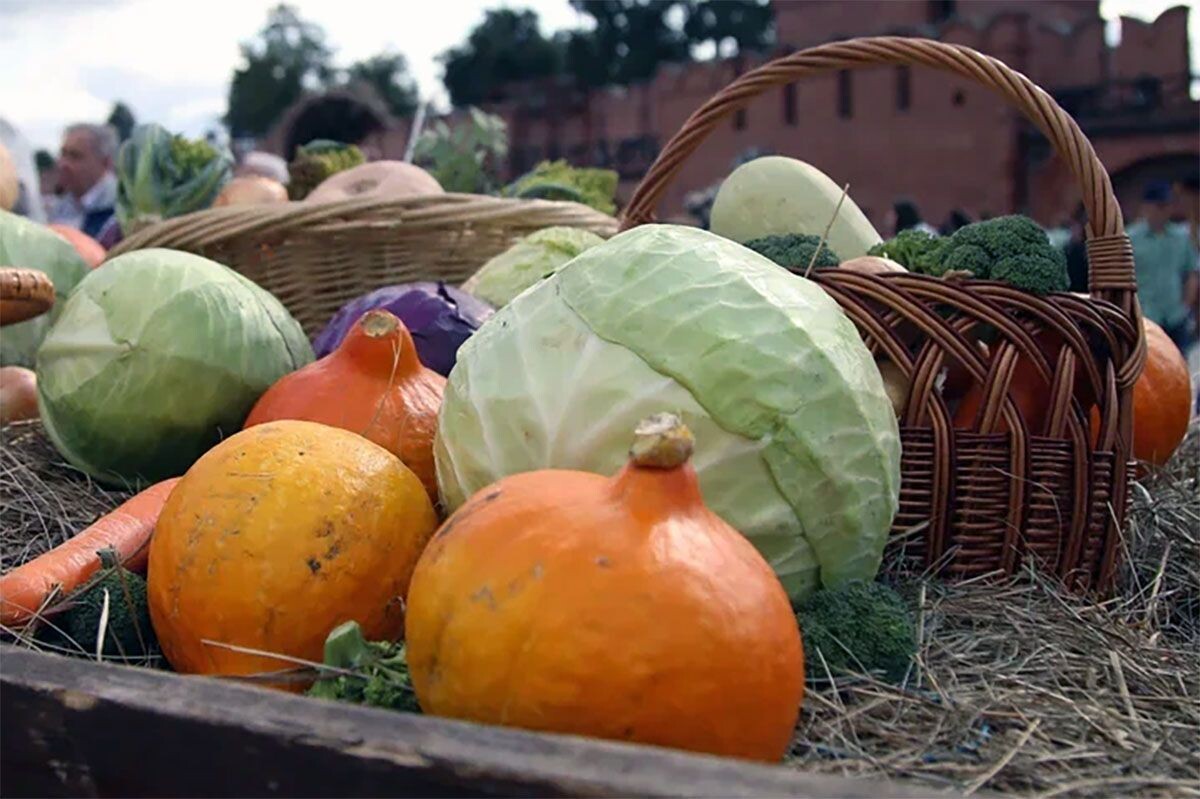 Фото: ИА "Регион 71"