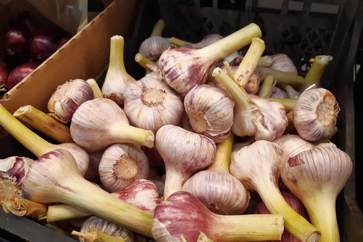 Фото: ИА "Регион 71"